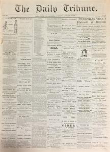 The Daily Tribune (Saint John, New Brunswick: 1871)